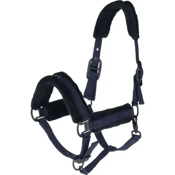 Covalliero Covalliero Halster + Touw