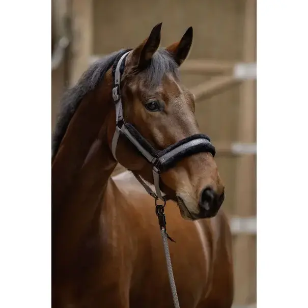 Covalliero Covalliero Halster + Touw