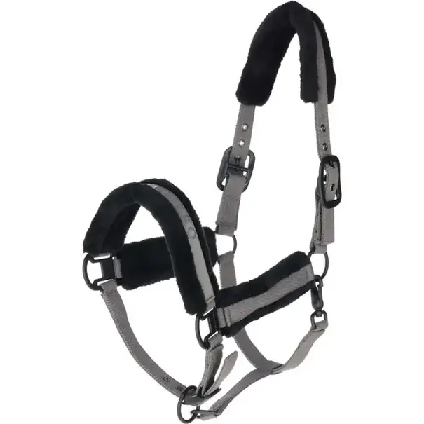 Covalliero Covalliero Halster + Touw