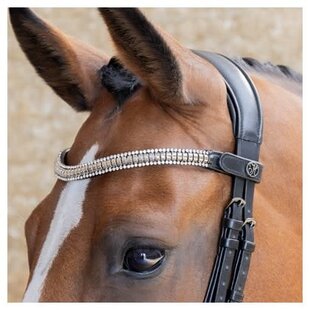 Frontriem Clincher Black Full