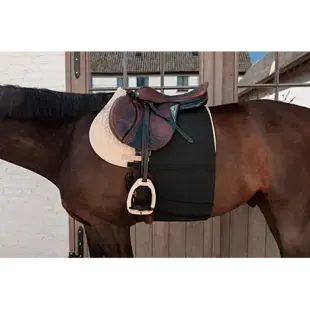 Kentucky Buikbandpaard Full