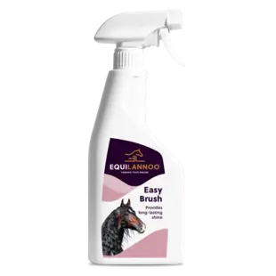 Easy Brush 500ml Equilannoo