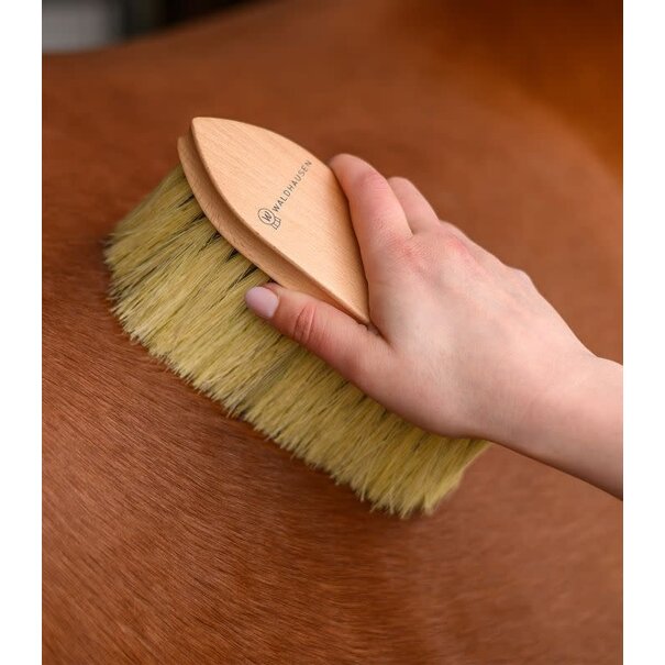 Waldhausen Exclusive Line Harde borstel