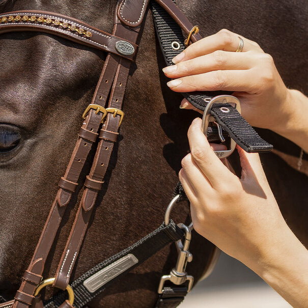 QHP Optuig halster Black