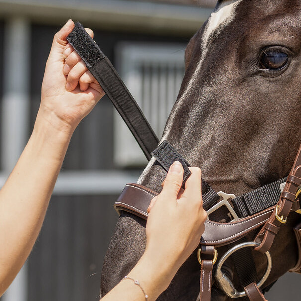 QHP Optuig halster Black