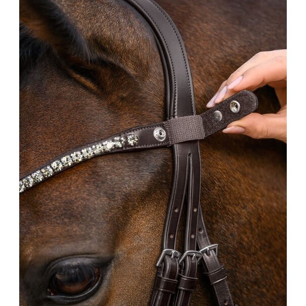 Waldhausen Frontriem X-Line Met Drukknop