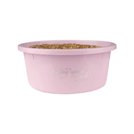 Treat Bowl 2L Pink