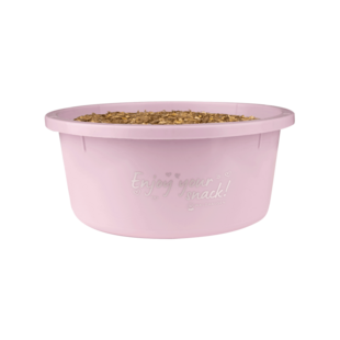 Treat Bowl 2L Pink