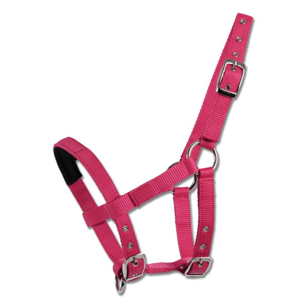 Waldhausen Halster Mini-Shetty