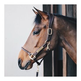 Anatomic Leather Halter Brown