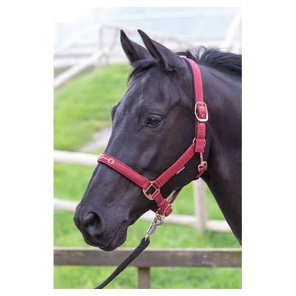 Harry's Horse Halster Bit