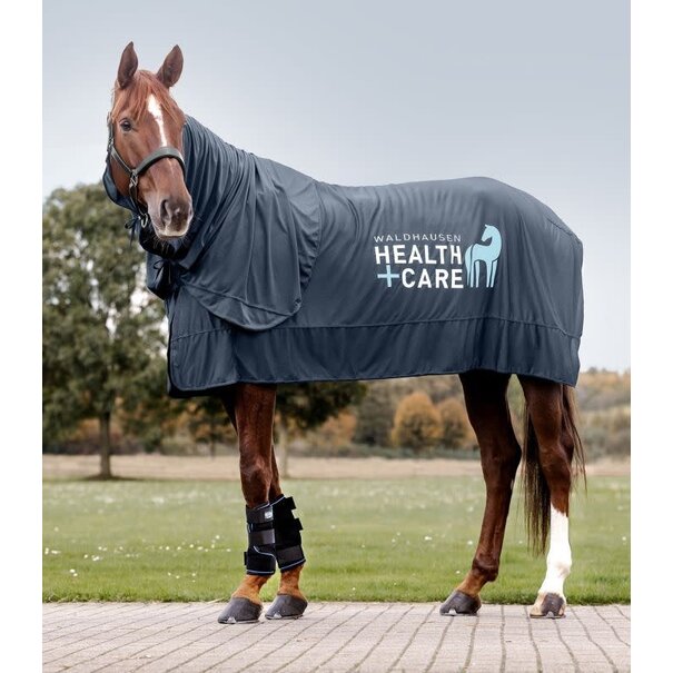 Health + Care Waldhausen Health + Care Ice-Layer Boots, pair Small