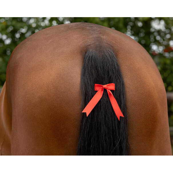 QHP Waarschuwingsstrik Staart