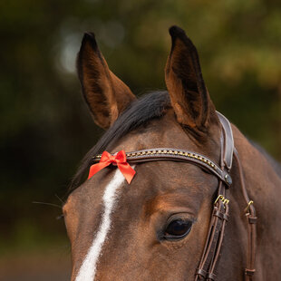 Waarschuwingsstrik Frontriem