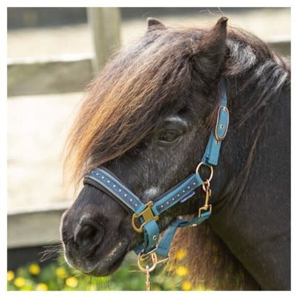 Harry's Horse Halsterset Crystal