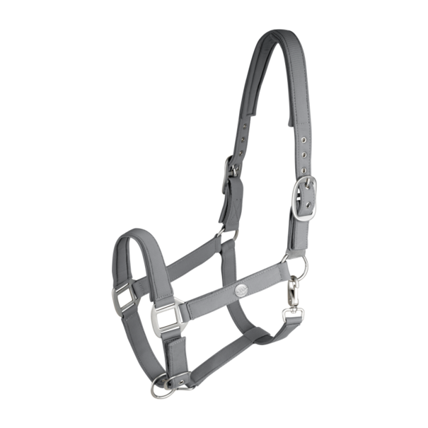 Waldhausen Trinidad halster