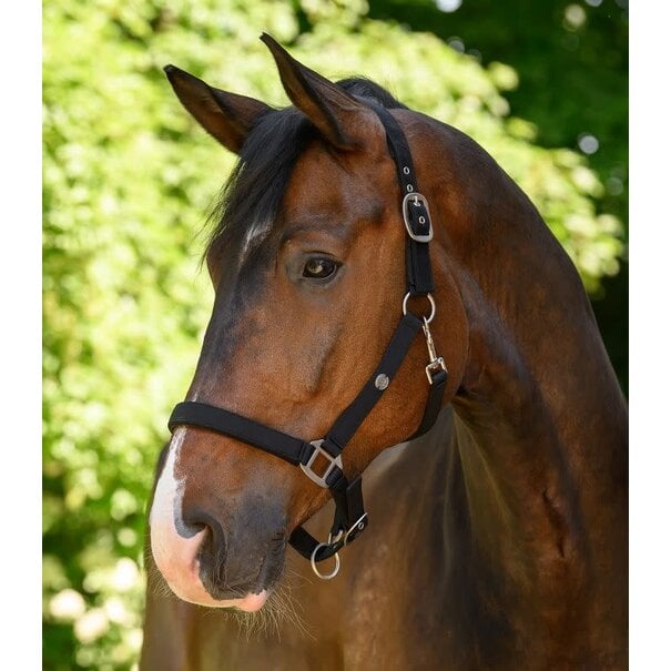 Waldhausen Trinidad halster