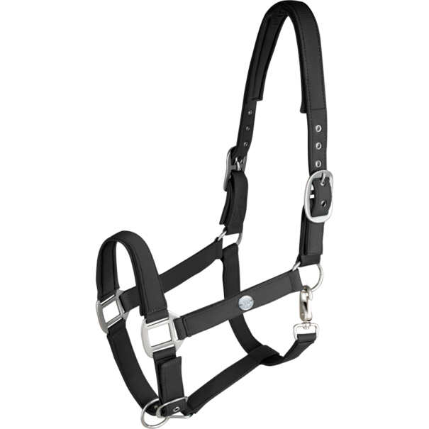 Waldhausen Trinidad halster