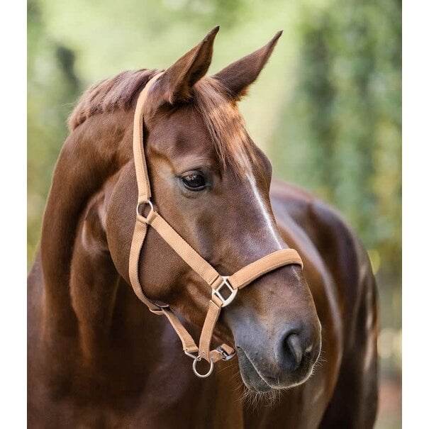 Waldhausen Halster Satin + Touw 2 M
