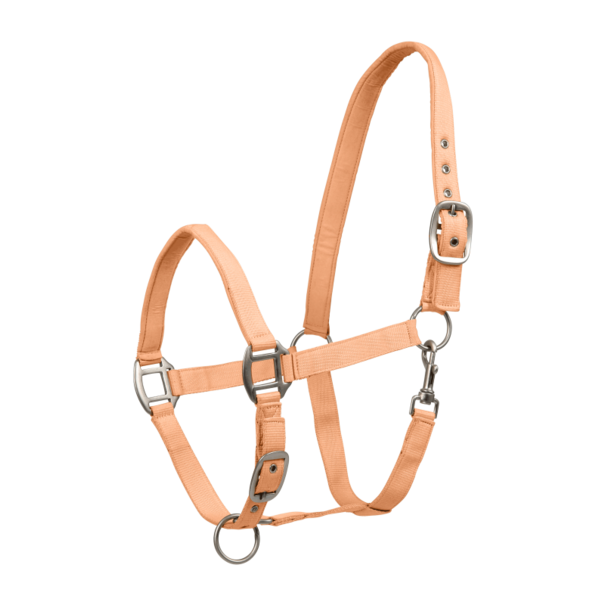 Waldhausen Halster Satin + Touw 2 M