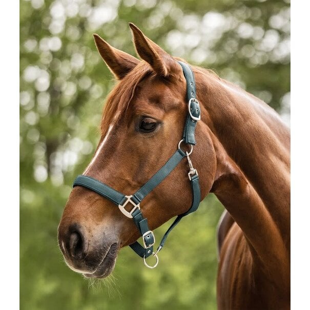 Waldhausen Halster Satin + Touw 2 M