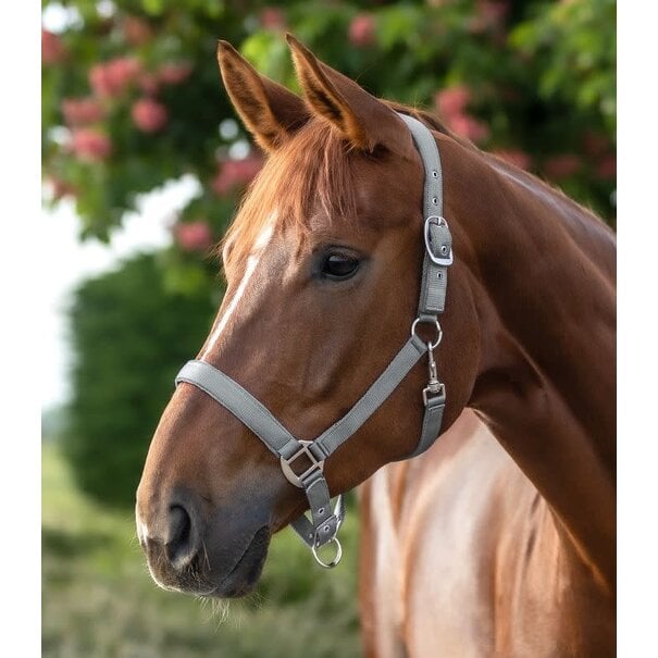 Waldhausen Halster Satin + Touw 2 M
