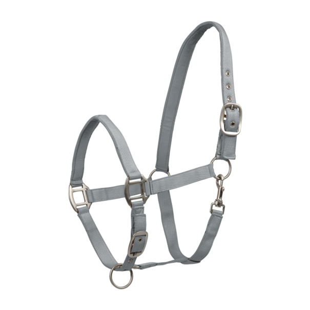 Waldhausen Halster Satin + Touw 2 M