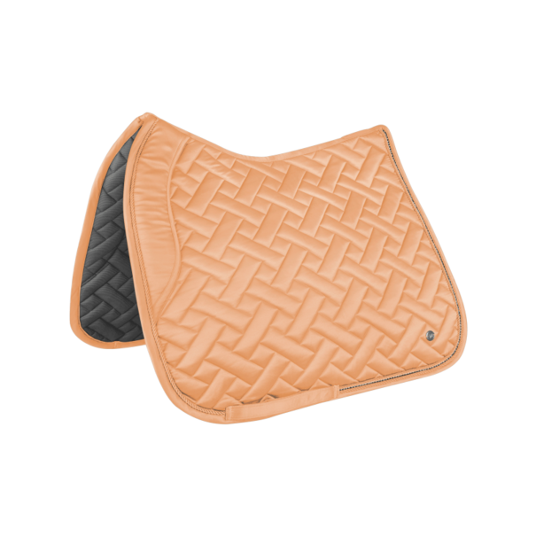 Waldhausen Zadeldekje Turin