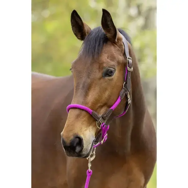 Covalliero Covalliero Halster Leder