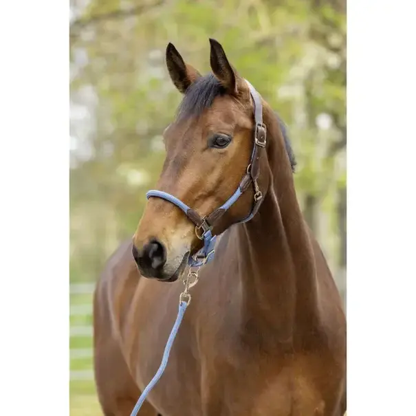 Covalliero Covalliero Halster Leder