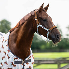 Halsterset Stable buddy