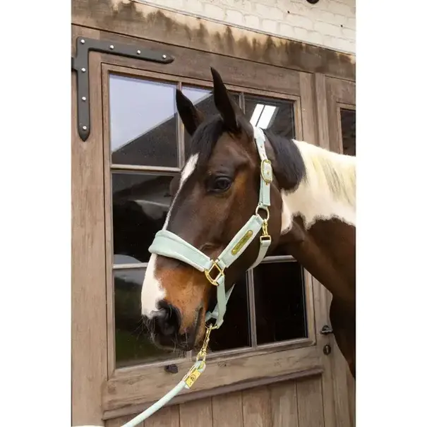 Kentucky Velvet Halster Velvet