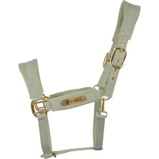 Kentucky Velvet Halster Velvet