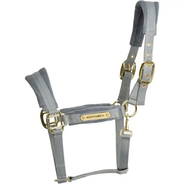 Kentucky Velvet Halster Velvet