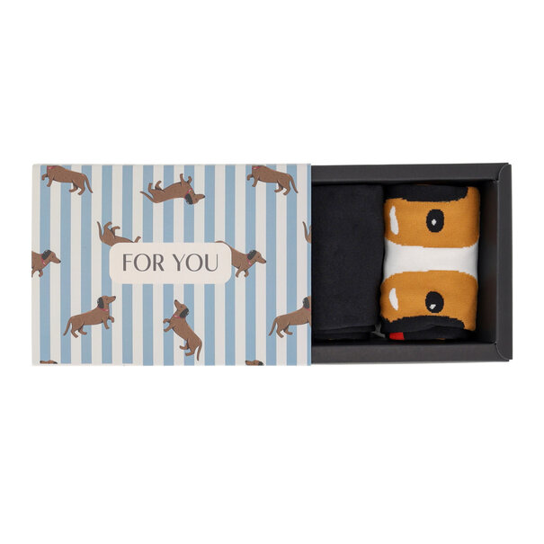 QHP Kniekous gift box Stable Buddy (set van 2)