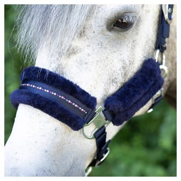 Harry's Horse Halsterset Denici Cavalli Purple Passion Crystal