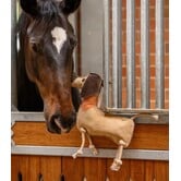 Paardenspeelgoedteckel Dieter