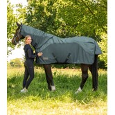 COMFORT Regen- en vliegenbescherming nekstuk Pine Green