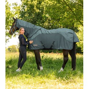 COMFORT Regen- en vliegenbescherming nekstuk Pine Green