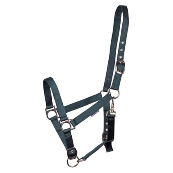Harry's Horse Halster 3x verstelbaar
