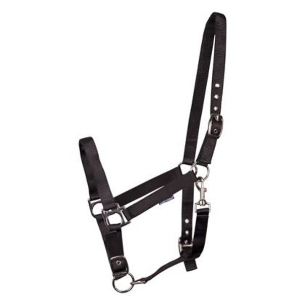 Harry's Horse Halster 3x verstelbaar