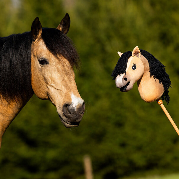 QHP Nalanta Stokpaard Hobby Horse