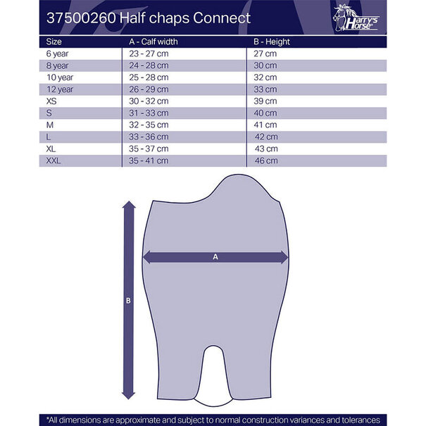 Harry's Horse Minichaps Connect Black