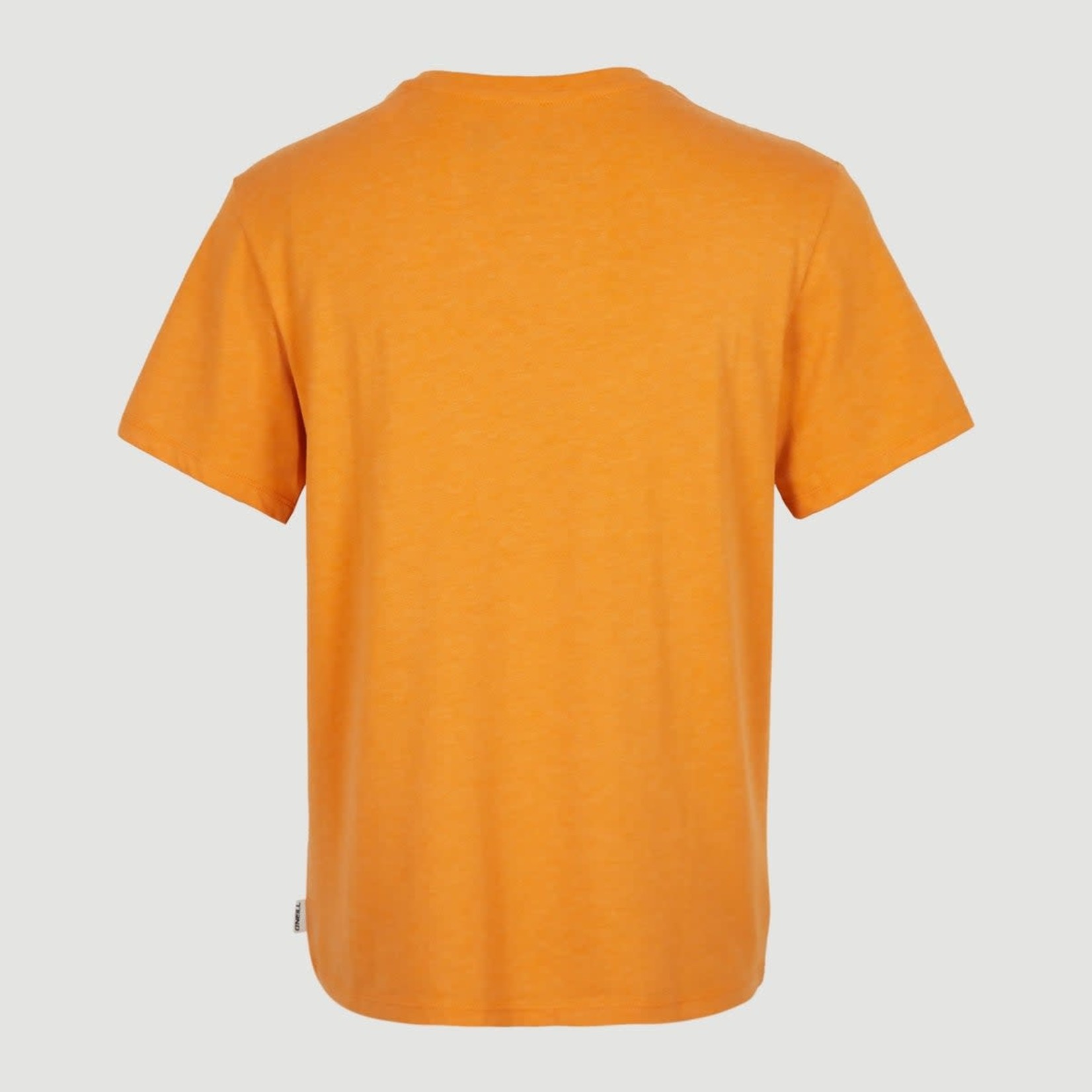 ONEILL ESSENTIALS V-NECK - T-shirt - O'NEILL