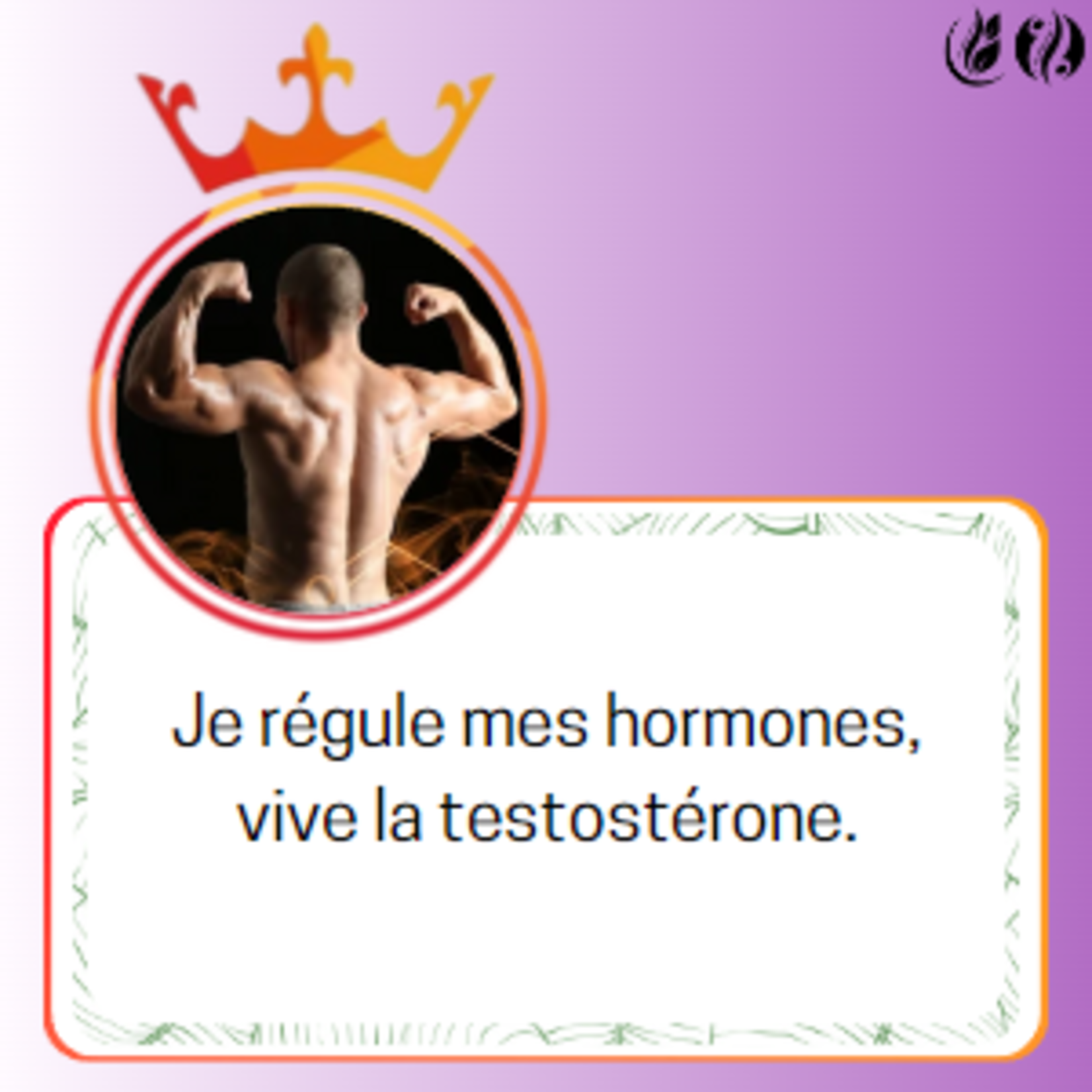 HORMONE H UP - Complèment alimentaire - SANS-T