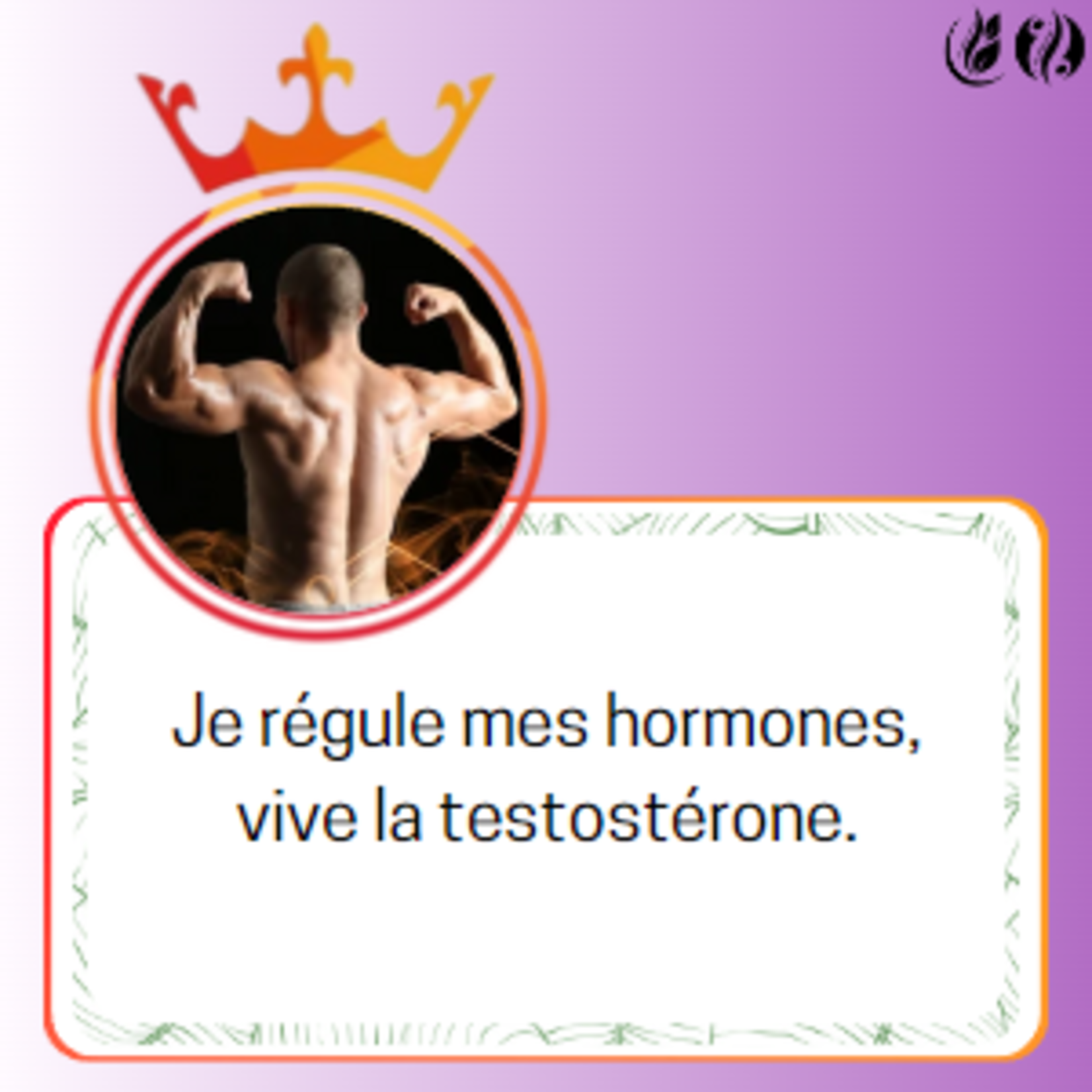 SANS-T HORMONE H UP - Complèment alimentaire - SANS-T