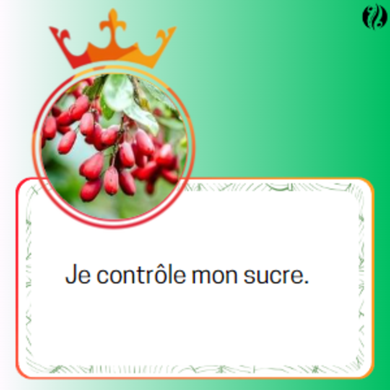 SANS-T BERBERINE 600 - Complèment alimentaire - SANS-T