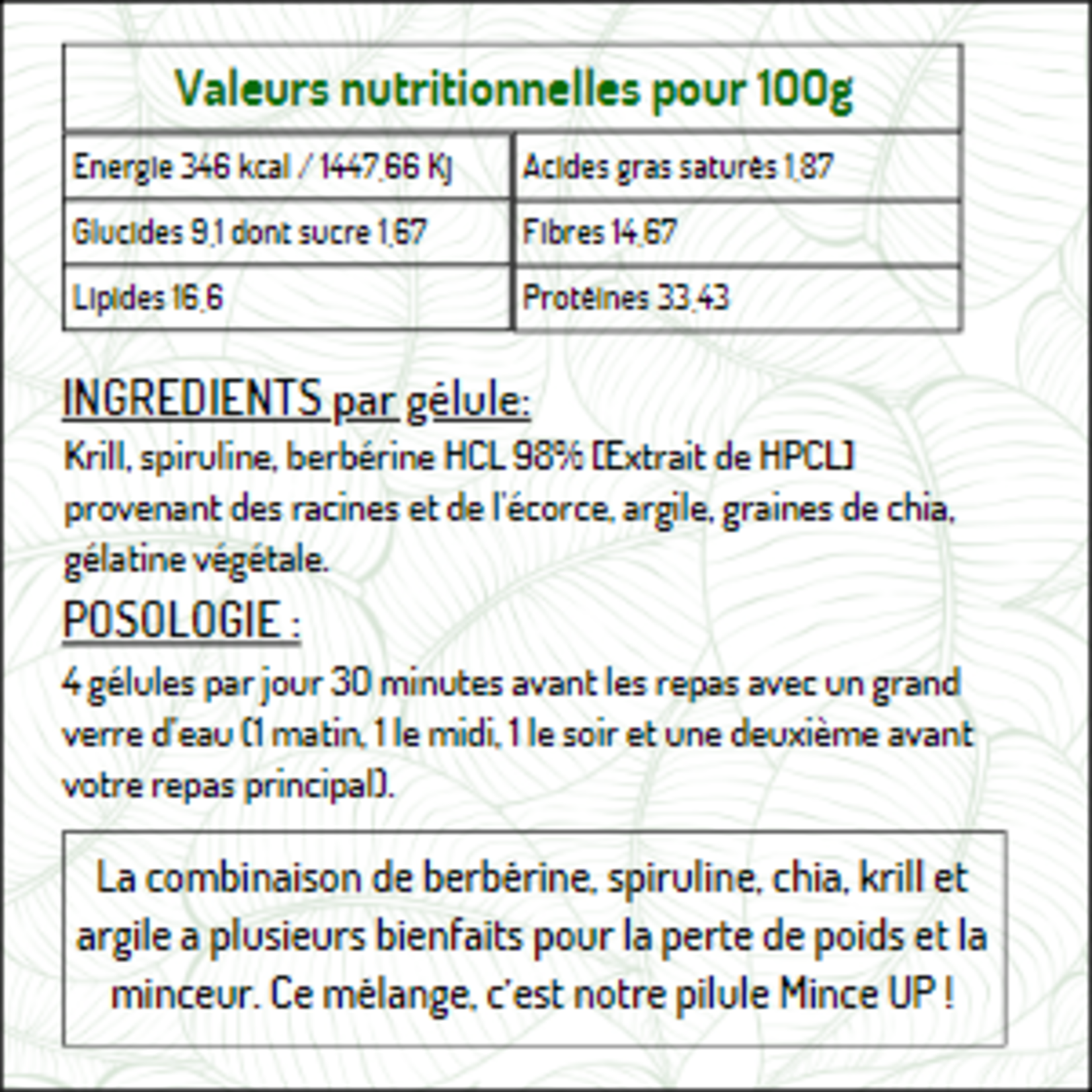 MINCE UP - Complèment alimentaire - SANS-T
