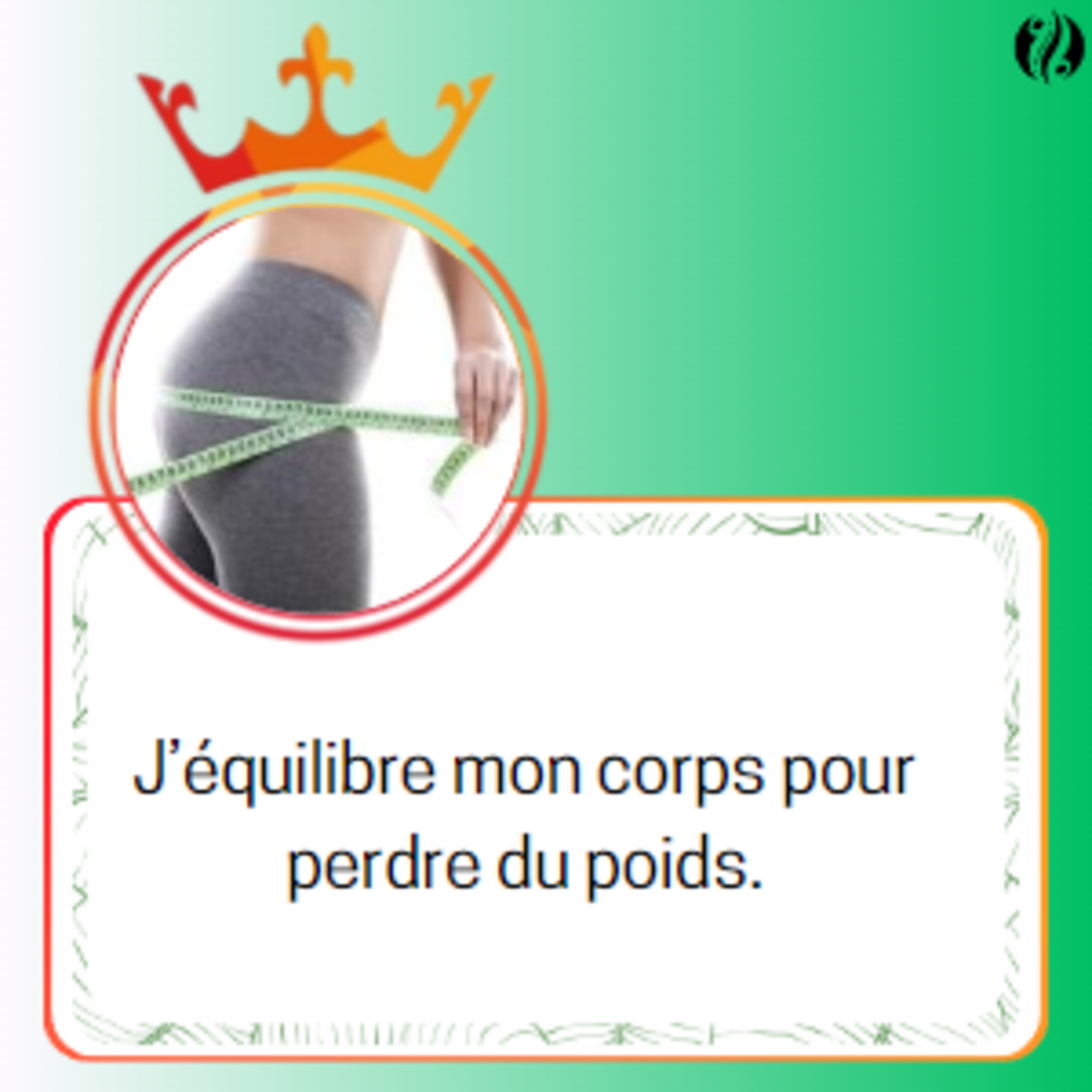 MINCE UP - Complèment alimentaire - SANS-T