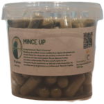 MINCE UP - Complèment alimentaire - SANS-T